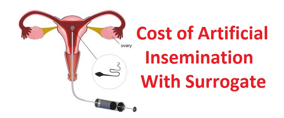 Cost of artificial insemination with surrogate