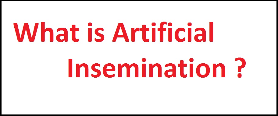 What is artificial insemination